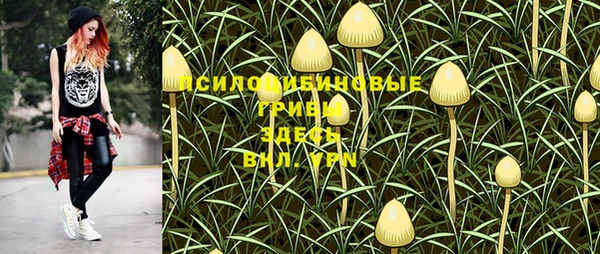шишки Баксан