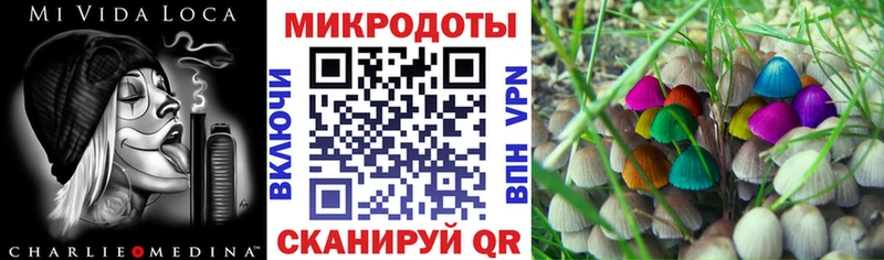 Псилоцибиновые грибы Magic Shrooms Свободный